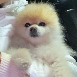 Meet your Posher, Christine